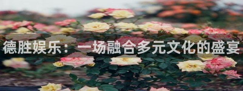 沐鸣2主管：德胜娱乐：一场融合多元文化的盛宴