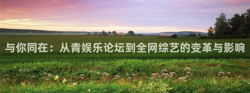 沐鸣2平台代理注册：与你同在：从青娱乐论坛到全网综艺的变革与影响