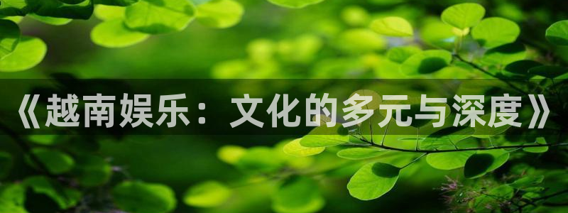 沐鸣2登录：《越南娱乐：文化的多元与深度》