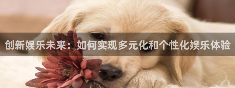 沐鸣2平台主管：创新娱乐未来：如何实现多元化和个性化娱乐体验