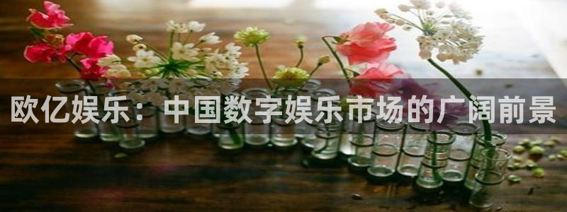 沐鸣2登录：欧亿娱乐：中国数字娱乐市场的广阔前景