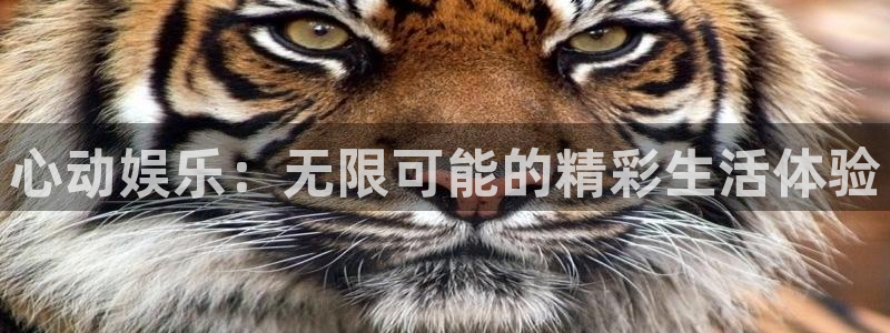 沐鸣2娱乐：心动娱乐：无限可能的精彩生活体验